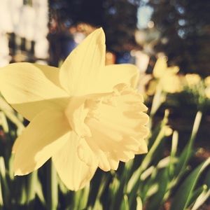 Meet your Posher, Ali